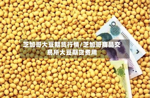 芝加哥大豆期货行情/芝加哥商品交易所大豆期货费用-第2张图片