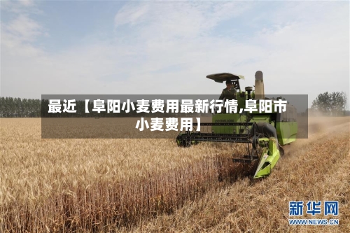 最近【阜阳小麦费用最新行情,阜阳市小麦费用】-第2张图片