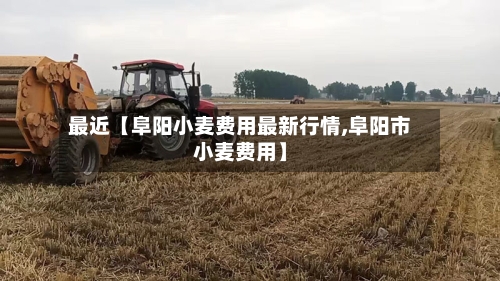 最近【阜阳小麦费用最新行情,阜阳市小麦费用】