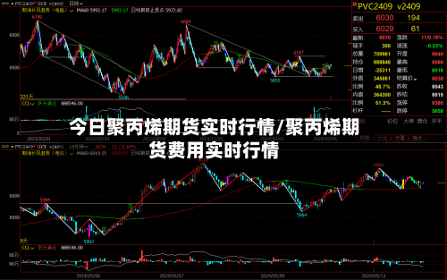 今日聚丙烯期货实时行情/聚丙烯期货费用实时行情-第2张图片
