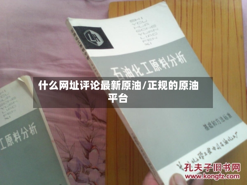什么网址评论最新原油/正规的原油平台-第2张图片