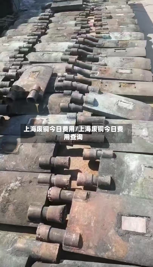 上海废铜今日费用/上海废铜今日费用查询