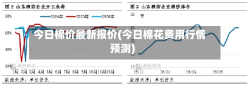 今日棉价最新报价(今日棉花费用行情预测)-第2张图片