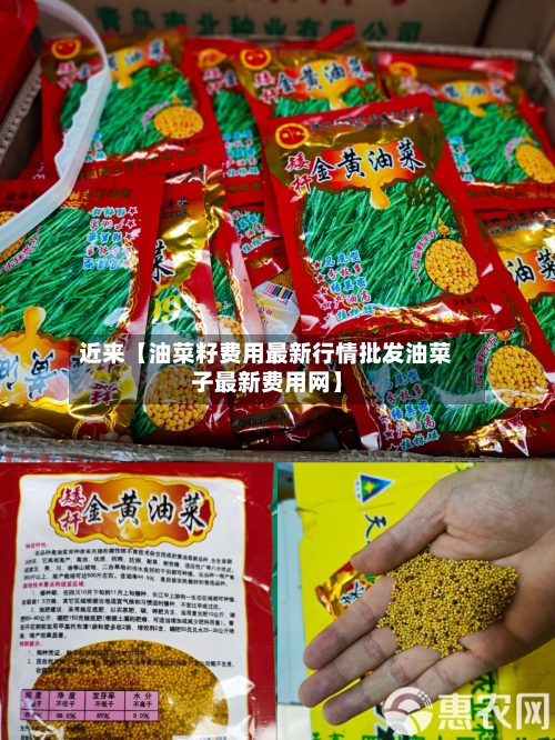 近来【油菜籽费用最新行情批发油菜子最新费用网】-第2张图片