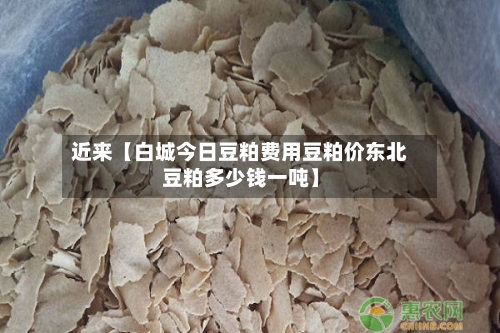 近来【白城今日豆粕费用豆粕价东北豆粕多少钱一吨】-第2张图片