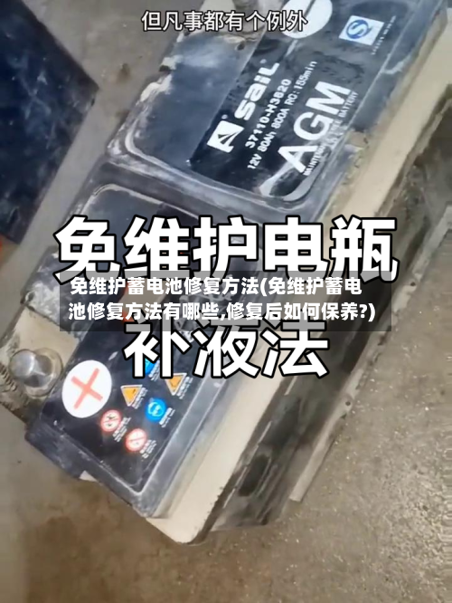 免维护蓄电池修复方法(免维护蓄电池修复方法有哪些,修复后如何保养?)