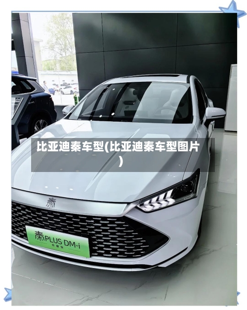比亚迪秦车型(比亚迪秦车型图片)