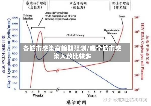 各城市感染高峰期预测/哪个城市感染人数比较多