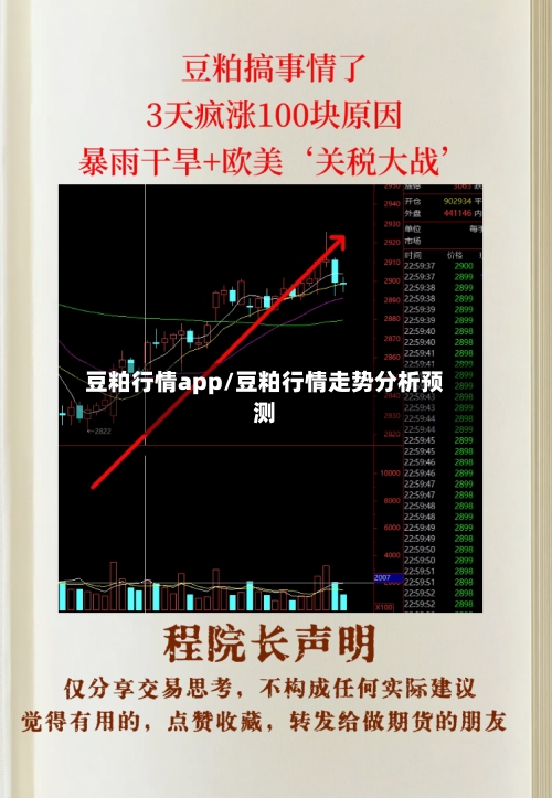 豆粕行情app/豆粕行情走势分析预测