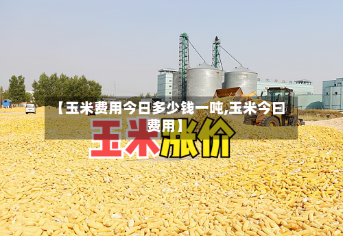 【玉米费用今日多少钱一吨,玉米今曰费用】
