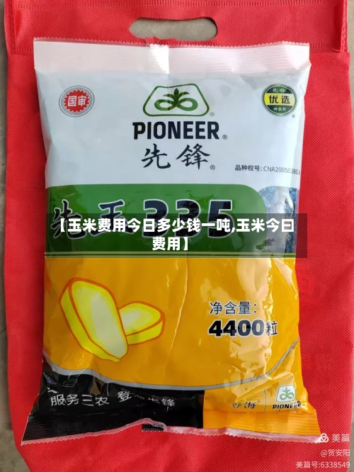 【玉米费用今日多少钱一吨,玉米今曰费用】-第3张图片