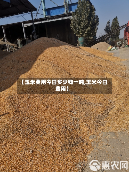 【玉米费用今日多少钱一吨,玉米今曰费用】-第2张图片