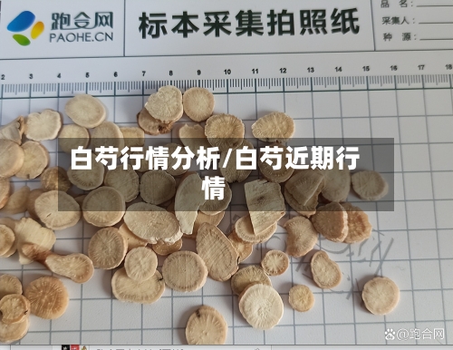 白芍行情分析/白芍近期行情-第2张图片