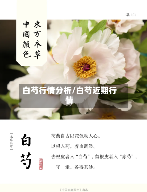 白芍行情分析/白芍近期行情