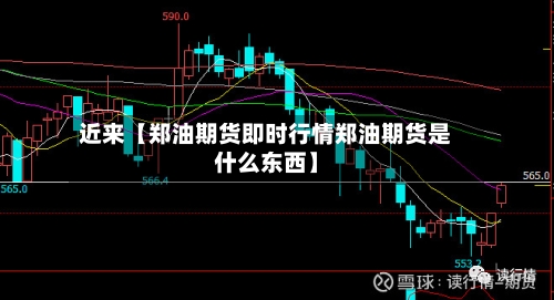近来【郑油期货即时行情郑油期货是什么东西】