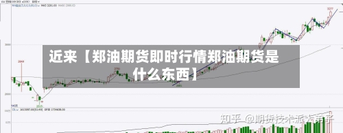 近来【郑油期货即时行情郑油期货是什么东西】-第2张图片