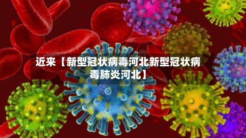 近来【新型冠状病毒河北新型冠状病毒肺炎河北】-第2张图片