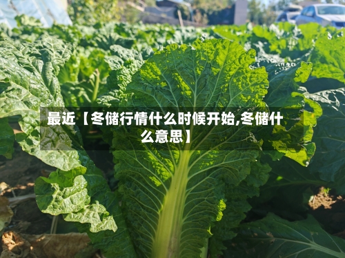 最近【冬储行情什么时候开始,冬储什么意思】