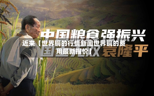 近来【世界铜的行情新闻世界铜的费用最新报价】-第2张图片