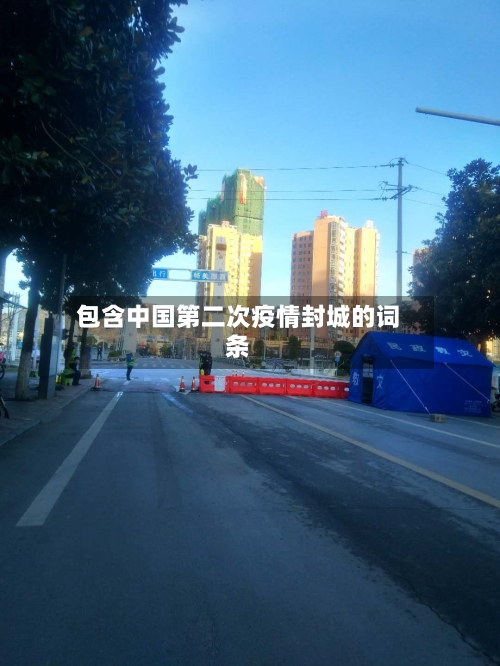 包含中国第二次疫情封城的词条