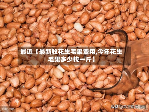 最近【最新收花生毛果费用,今年花生毛果多少钱一斤】-第2张图片