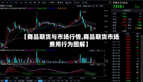 【商品期货与市场行情,商品期货市场费用行为图解】-第2张图片
