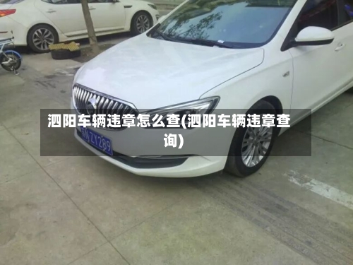 泗阳车辆违章怎么查(泗阳车辆违章查询)