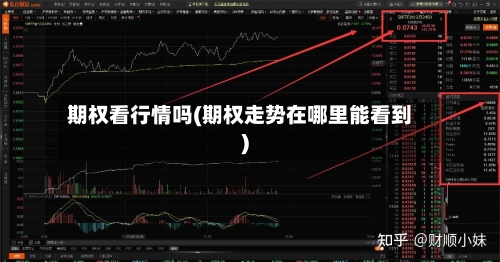 期权看行情吗(期权走势在哪里能看到)-第2张图片