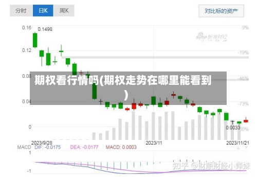 期权看行情吗(期权走势在哪里能看到)