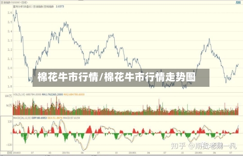 棉花牛市行情/棉花牛市行情走势图-第2张图片
