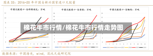 棉花牛市行情/棉花牛市行情走势图
