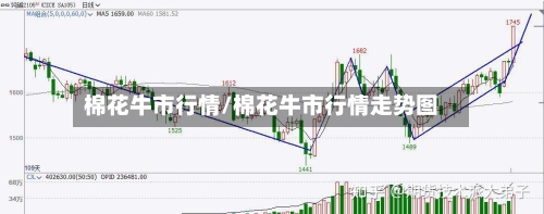 棉花牛市行情/棉花牛市行情走势图-第3张图片