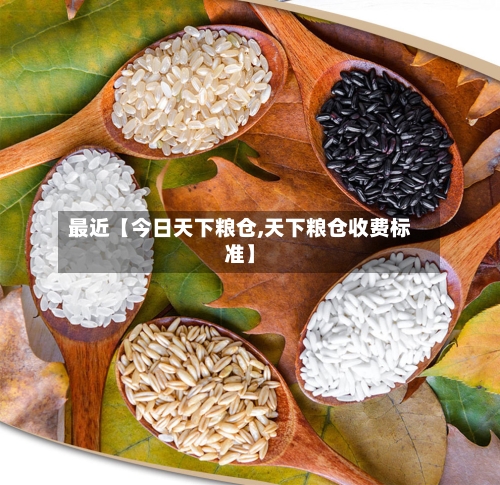 最近【今日天下粮仓,天下粮仓收费标准】-第2张图片