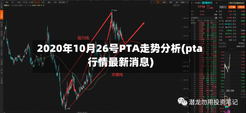 2020年10月26号PTA走势分析(pta行情最新消息)