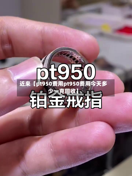 近来【pt950费用pt950费用今天多少一克回收】-第2张图片