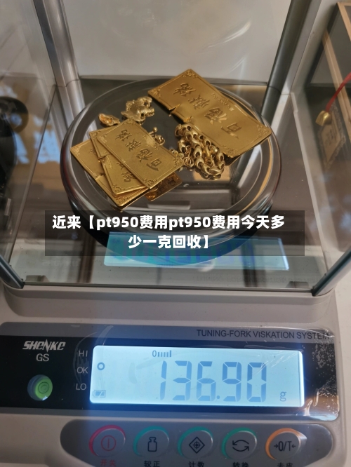 近来【pt950费用pt950费用今天多少一克回收】