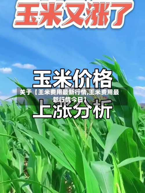 关于【王米费用最新行情,王米费用最新行情今日】