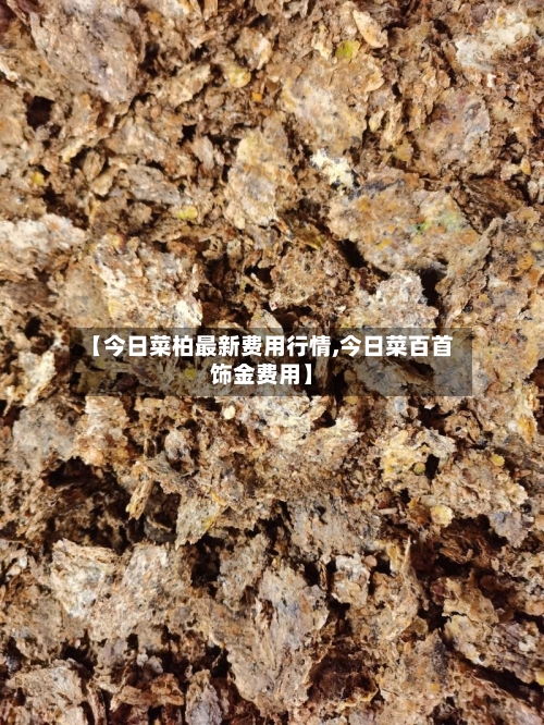 【今日菜柏最新费用行情,今日菜百首饰金费用】