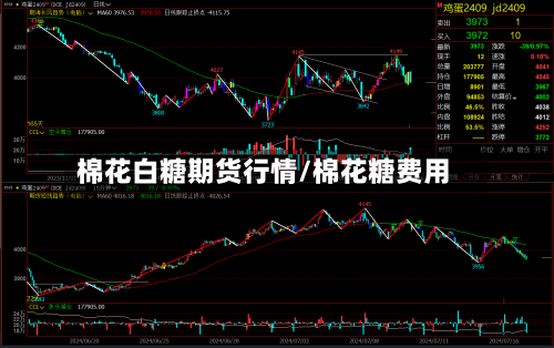 棉花白糖期货行情/棉花糖费用