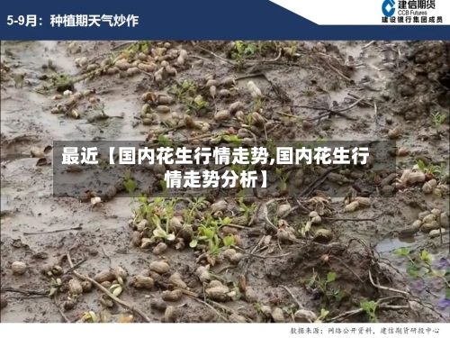 最近【国内花生行情走势,国内花生行情走势分析】-第2张图片