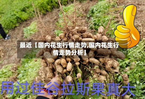 最近【国内花生行情走势,国内花生行情走势分析】-第3张图片