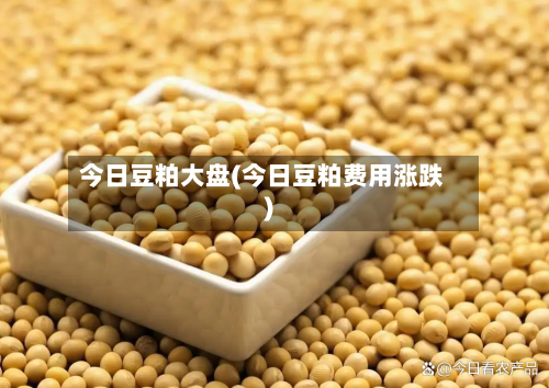 今日豆粕大盘(今日豆粕费用涨跌)-第3张图片