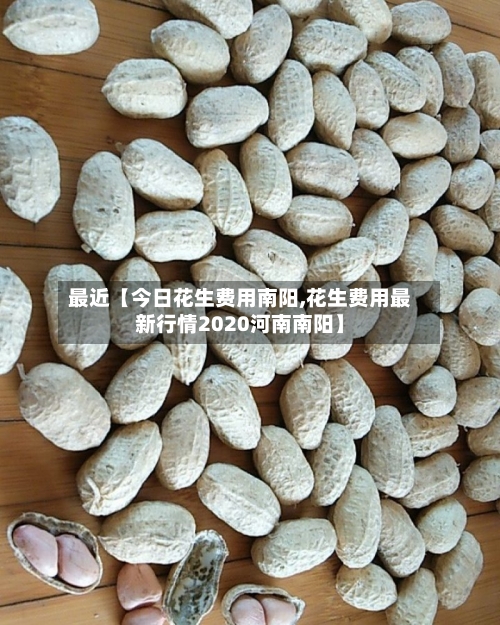 最近【今日花生费用南阳,花生费用最新行情2020河南南阳】-第2张图片