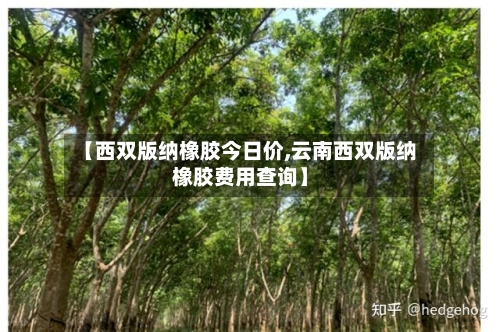 【西双版纳橡胶今日价,云南西双版纳橡胶费用查询】