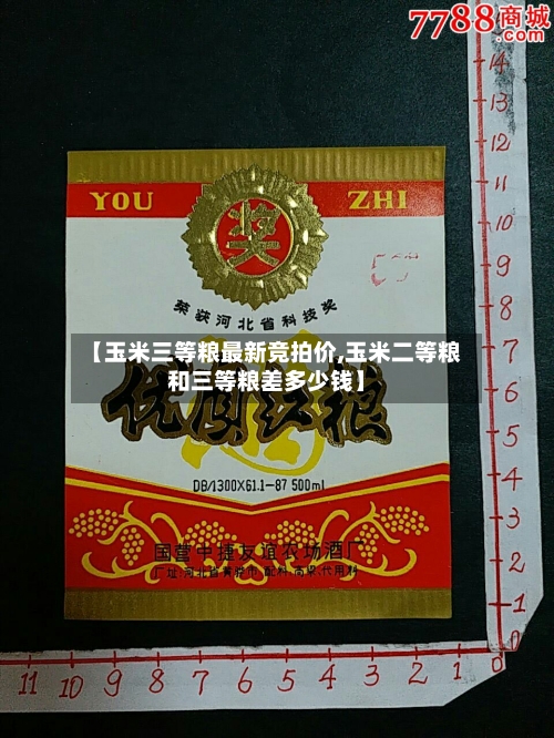 【玉米三等粮最新竞拍价,玉米二等粮和三等粮差多少钱】-第2张图片