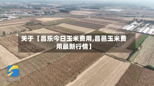 关于【昌乐今日玉米费用,昌邑玉米费用最新行情】-第2张图片