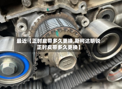 最近【正时皮带多久更换,斯柯达明锐正时皮带多久更换】-第2张图片