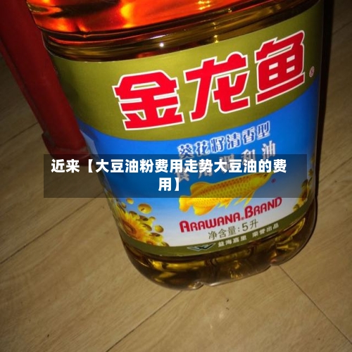 近来【大豆油粉费用走势大豆油的费用】-第2张图片