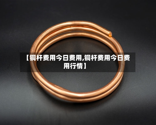【铜杆费用今日费用,铜杆费用今日费用行情】-第2张图片