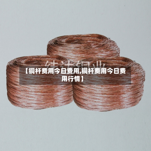 【铜杆费用今日费用,铜杆费用今日费用行情】-第3张图片